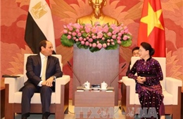 Chủ tịch Quốc hội Nguyễn Thị Kim Ngân hội kiến Tổng thống Ai Cập 